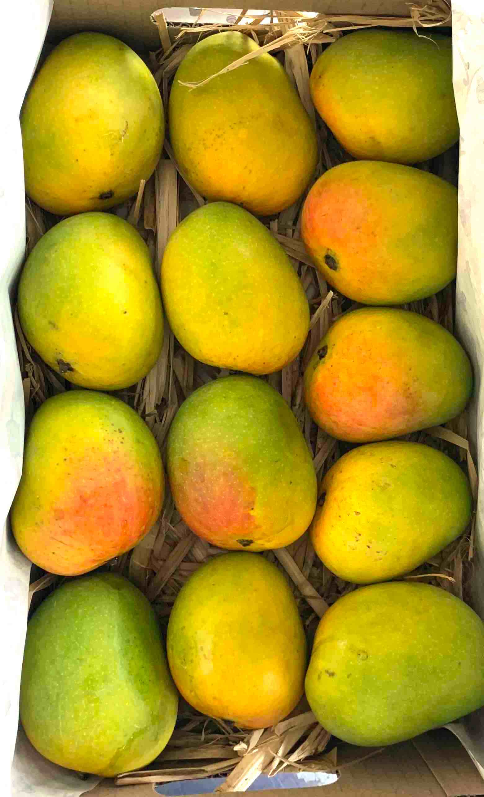 Buy Alphonso Mango Online - Home Delivered - Naturally Ripened A Grade Quality - Sooper Mango